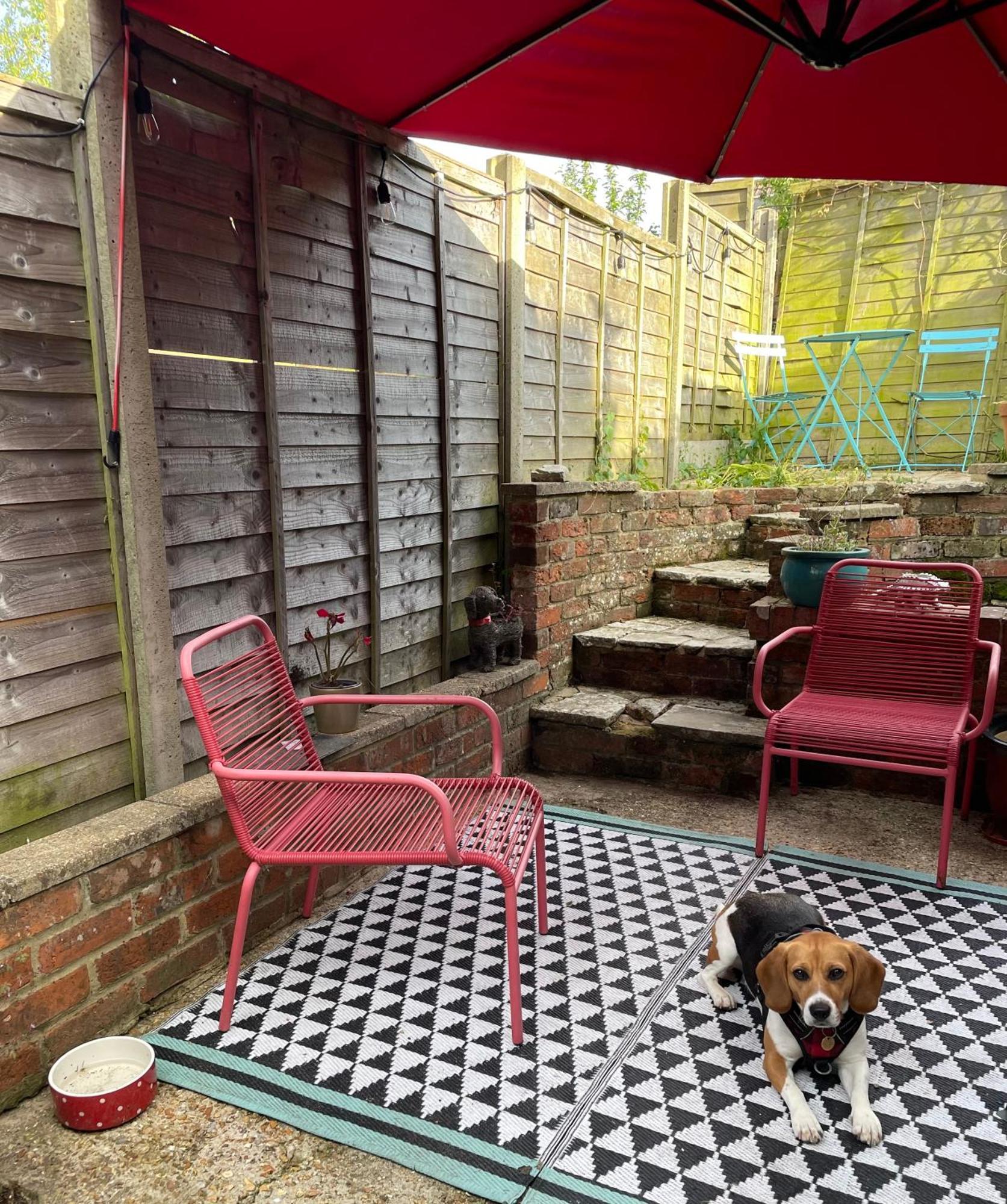 ניופורט Cosy 2 Bedroom Victorian Cottage, Newport, Isle Of Wight מראה חיצוני תמונה